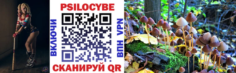 Галлюциногенные грибы прущие грибы ОМГ ОМГ ссылки Великий Новгород